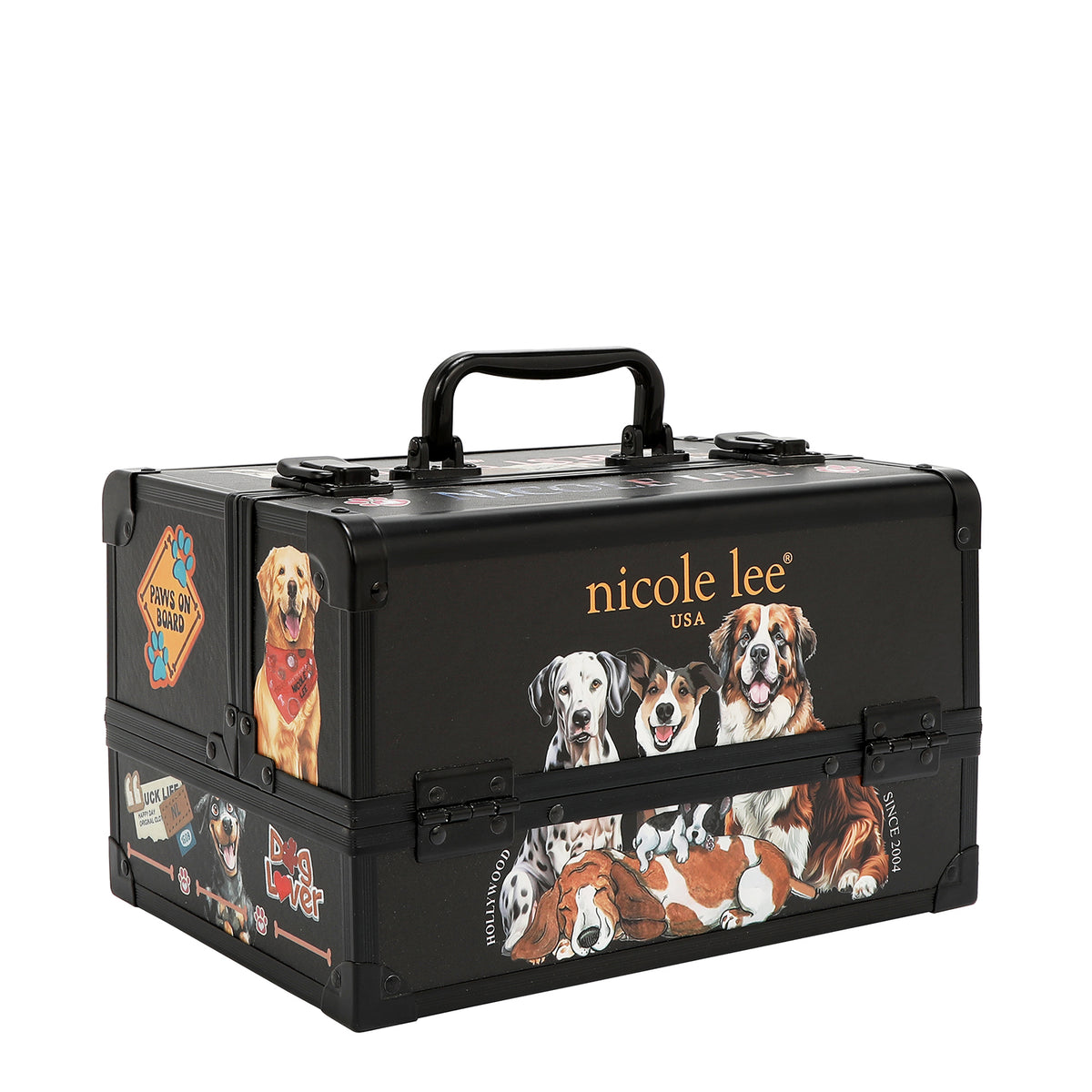 PROFESSIONAL COSMETIC CASE