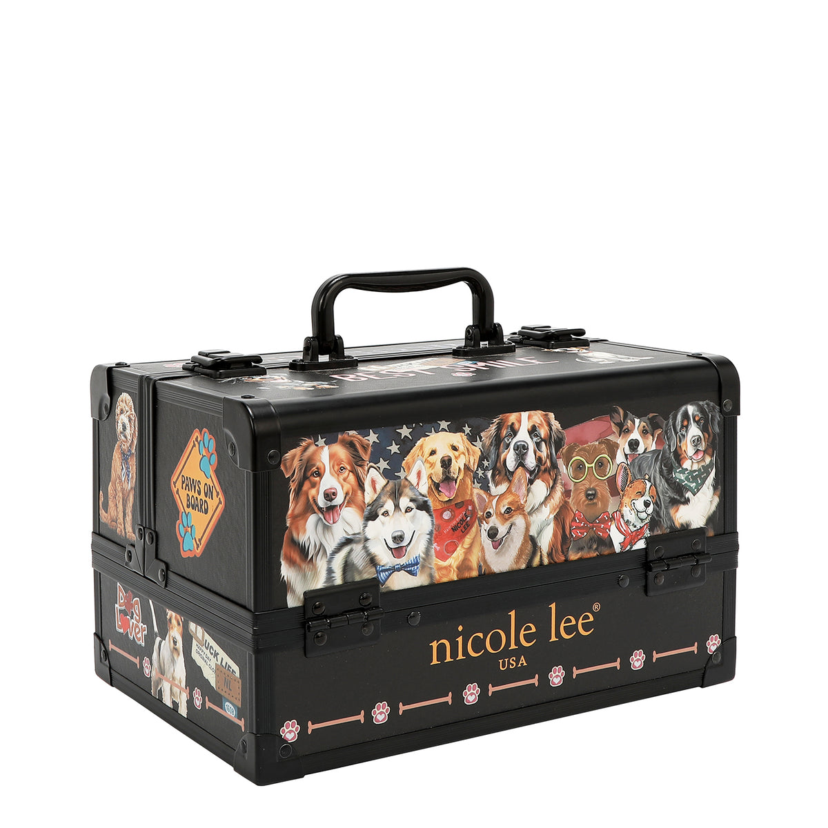 PROFESSIONAL COSMETIC CASE