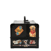 PROFESSIONAL COSMETIC CASE