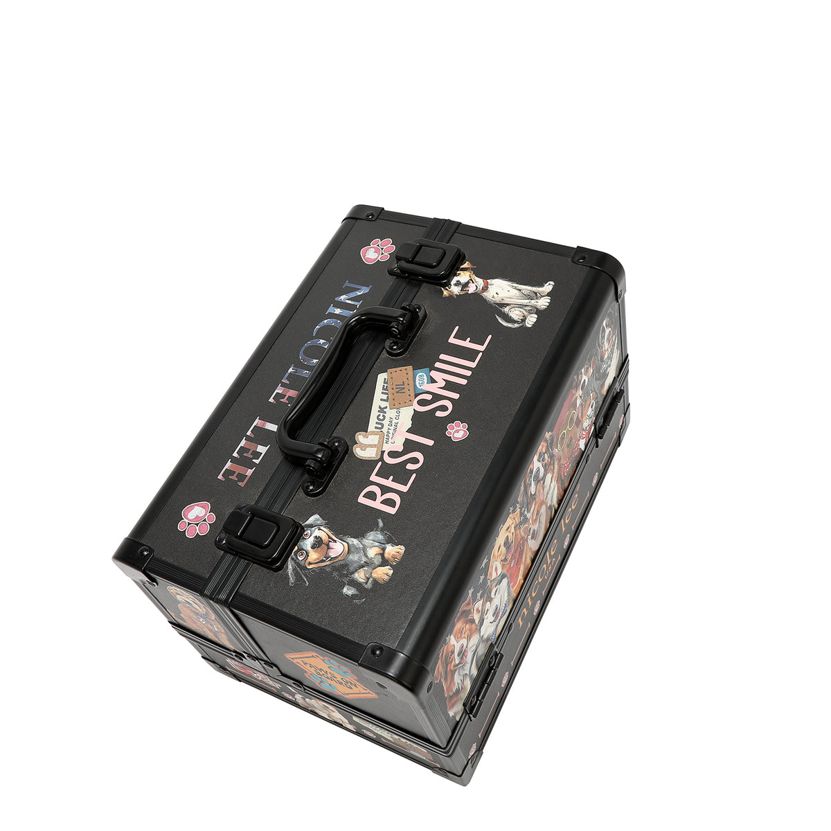 PROFESSIONAL COSMETIC CASE