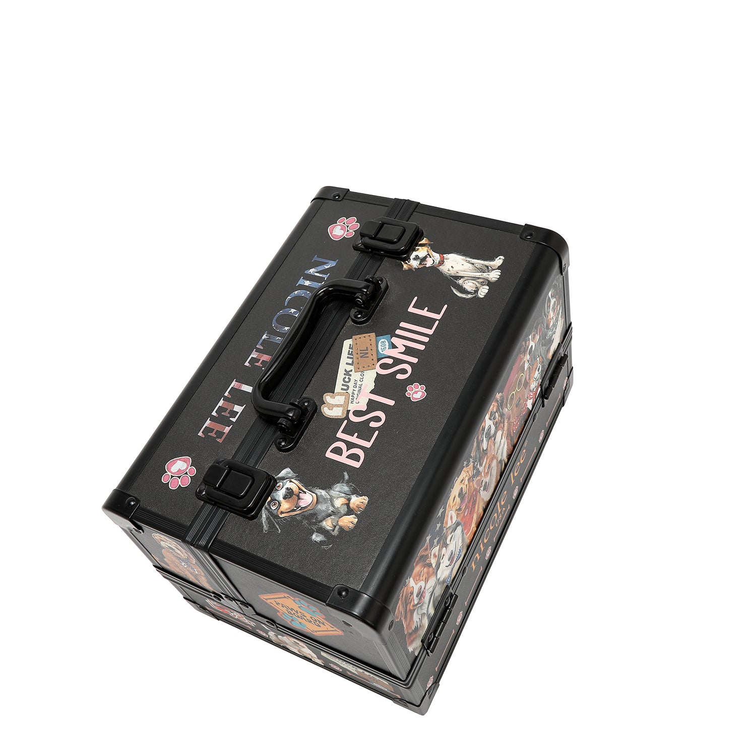 PROFESSIONAL COSMETIC CASE