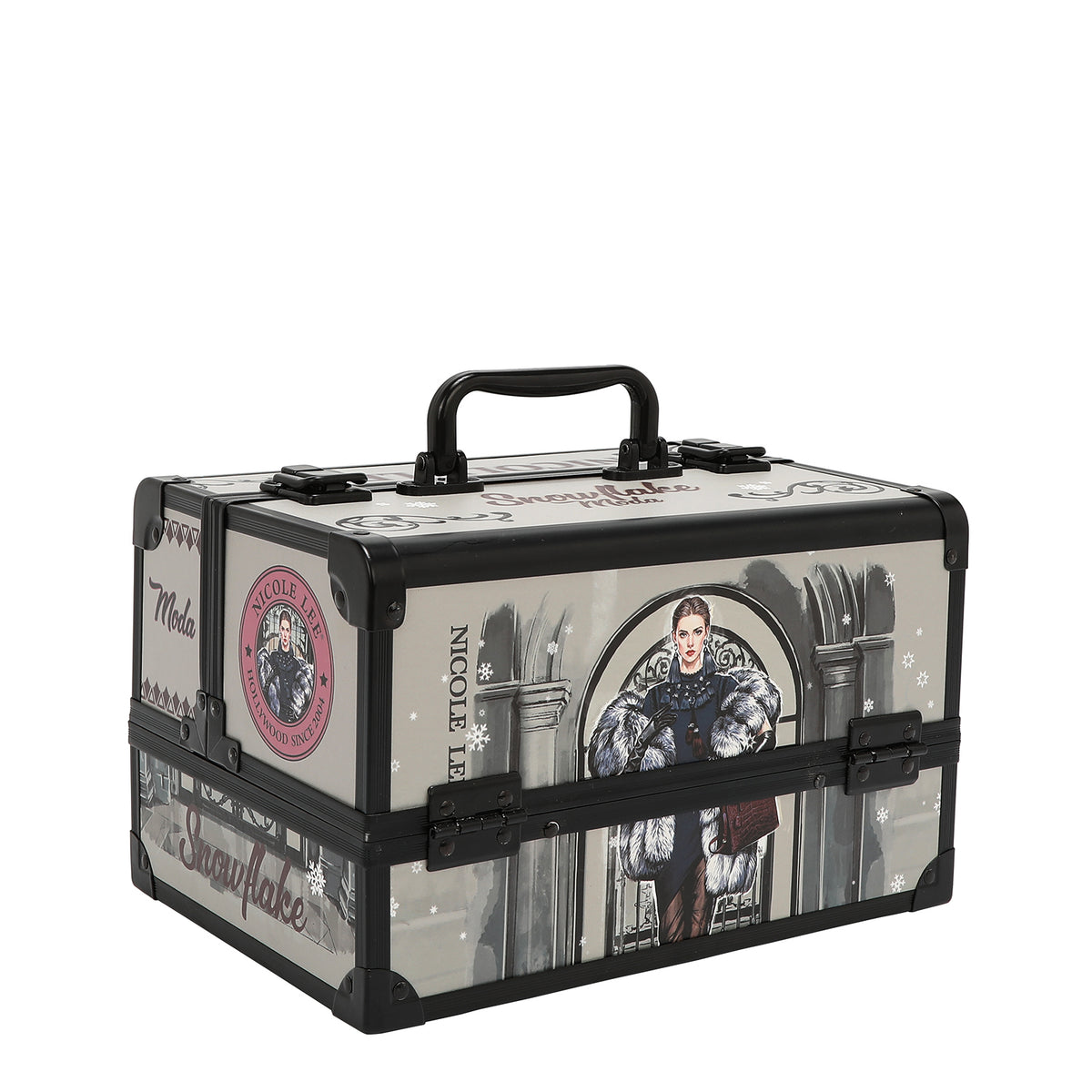 PROFESSIONAL COSMETIC CASE