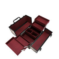 PROFESSIONAL COSMETIC CASE