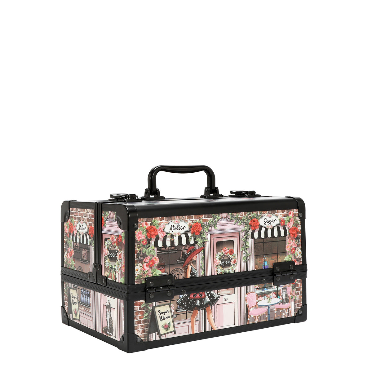PROFESSIONAL COSMETIC CASE