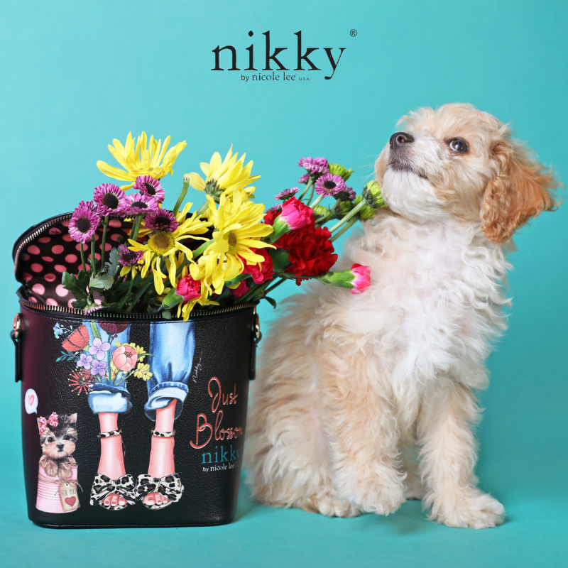 Catalogo de nicole lee 2020 sale