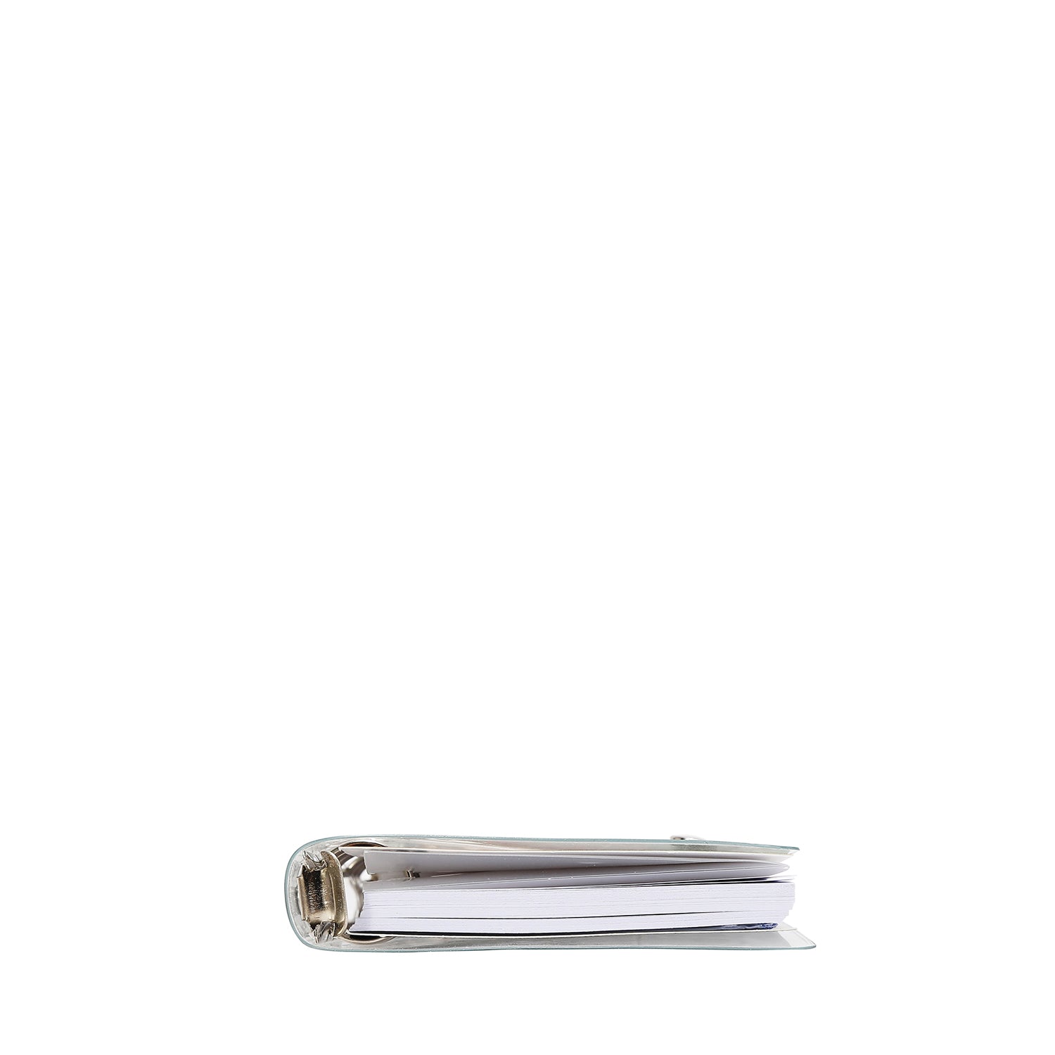 CLEAR COVER RING BINDER PLANNER