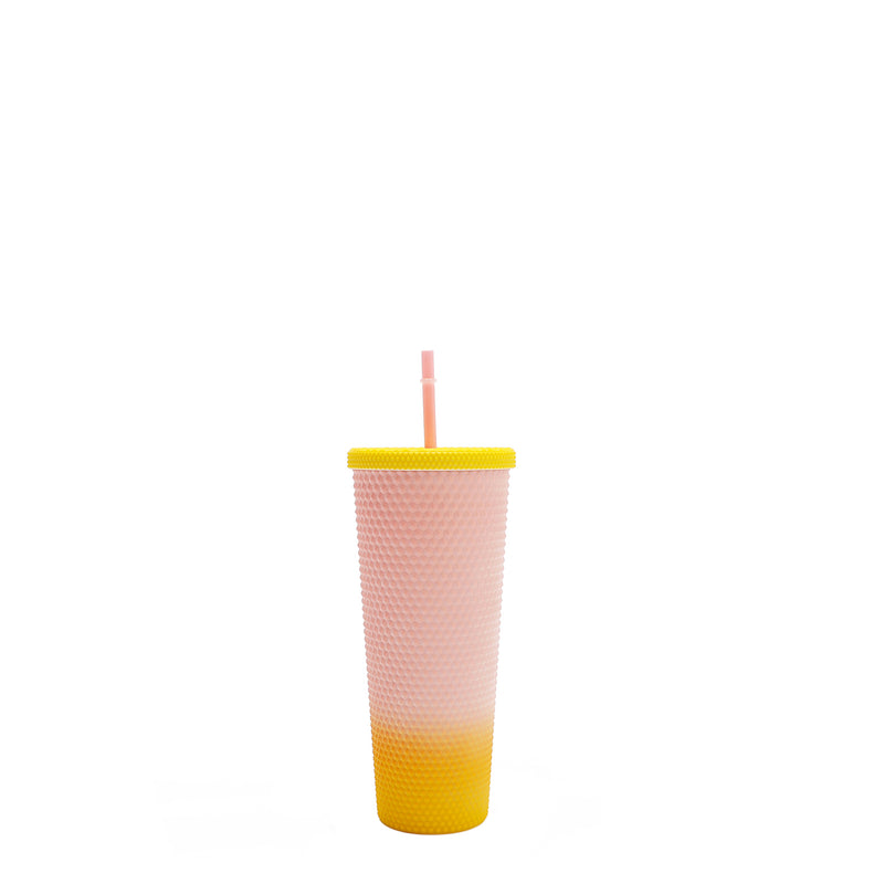 24 OZ STUDDED TUMBLER WITH STRAW