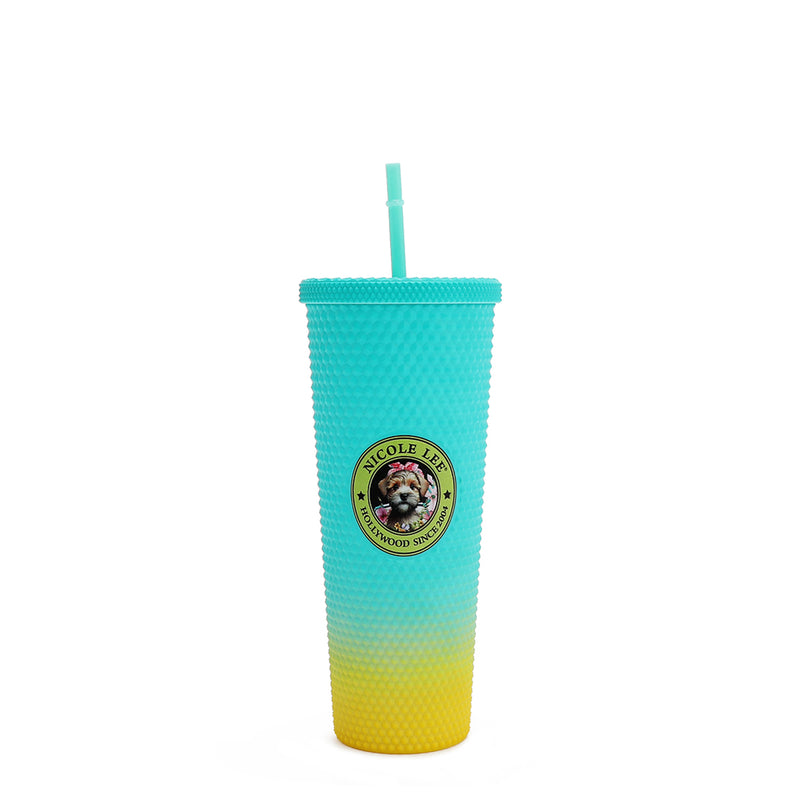 24 OZ STUDDED TUMBLER WITH STRAW